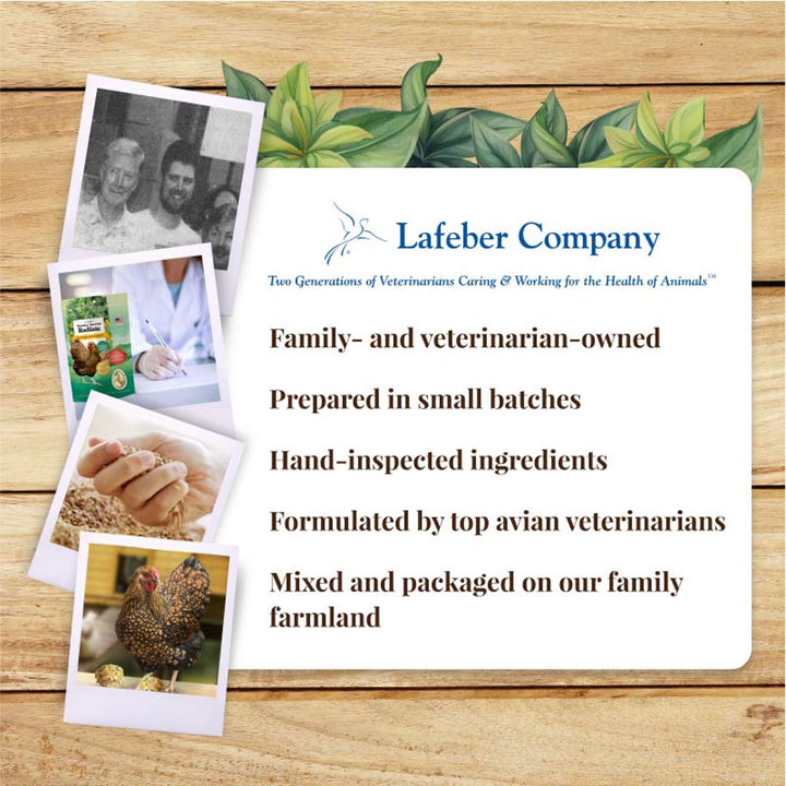 73020-booster-berries-radiate-10oz-lafeber-company