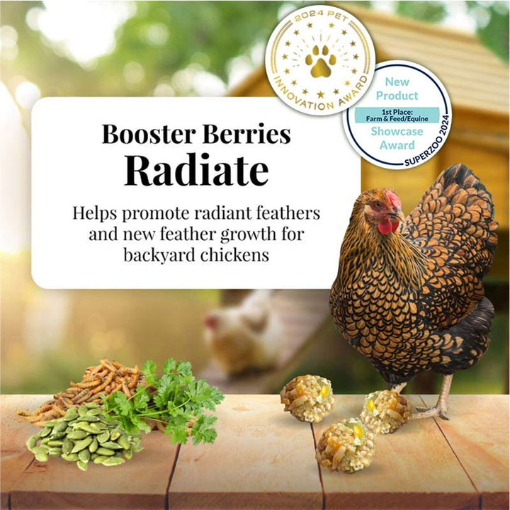 73020-booster-berries-radiate-10oz-helps-promote-radiant-feathers-and-new-feather-growth-for-backyard-chickens