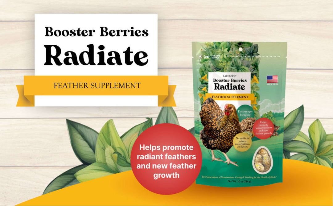 73020-booster-berries-radiate-10oz-helps-promote-radiant-feathers-and-new-feather-growth