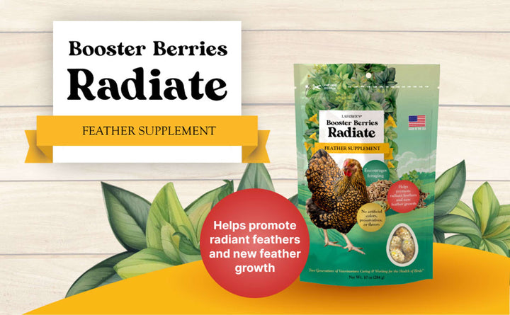 73020-booster-berries-radiate-10oz-helps-promote-radiant-feathers-and-new-feather-growth