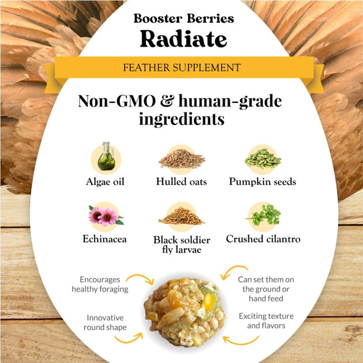 73022-booster-berries-radiate-3lb-non-GMO-human-grade-ingredients