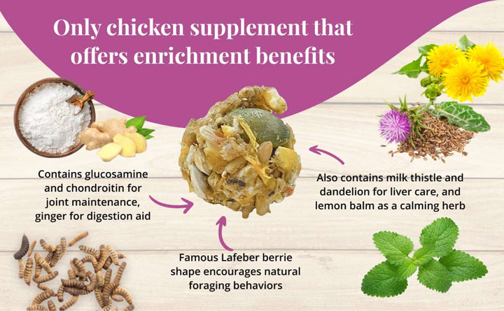 73030-booster-berries-senior-10oz-only-chicken-supplement-that-offers-enrichment-benefits