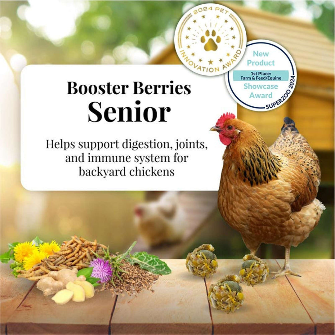 73030-booster-berries-senior-10oz-helps-support-digestion-joints-and-immune-system-for-backyard-chickens