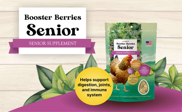 73030-booster-berries-senior-10oz-helps-support-digestion-joints-immune-system