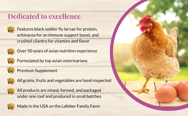 73032-booster-berries-senior-3lb-dedicated-to-excellence-black-soldier-fly-larvae-50-years-of-avian-nutrition-experience-formulated-by-top-avian-veterinarians-premium-supplement-hand-inspected-produced-in-small-batches-made-in-USA