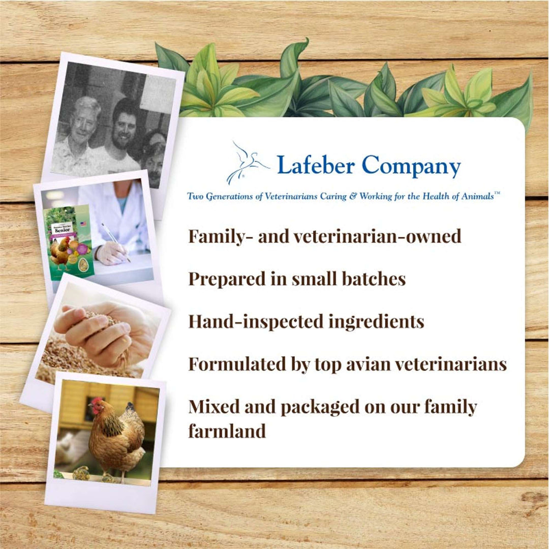 73032-booster-berries-senior-3lb-lafeber-company