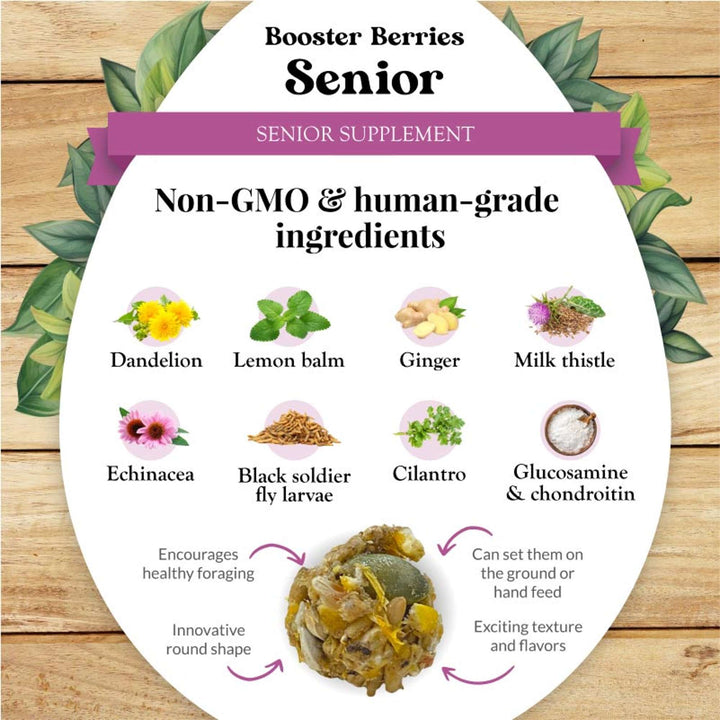73032-booster-berries-senior-3lb-non-GMO-human-grade-ingredients
