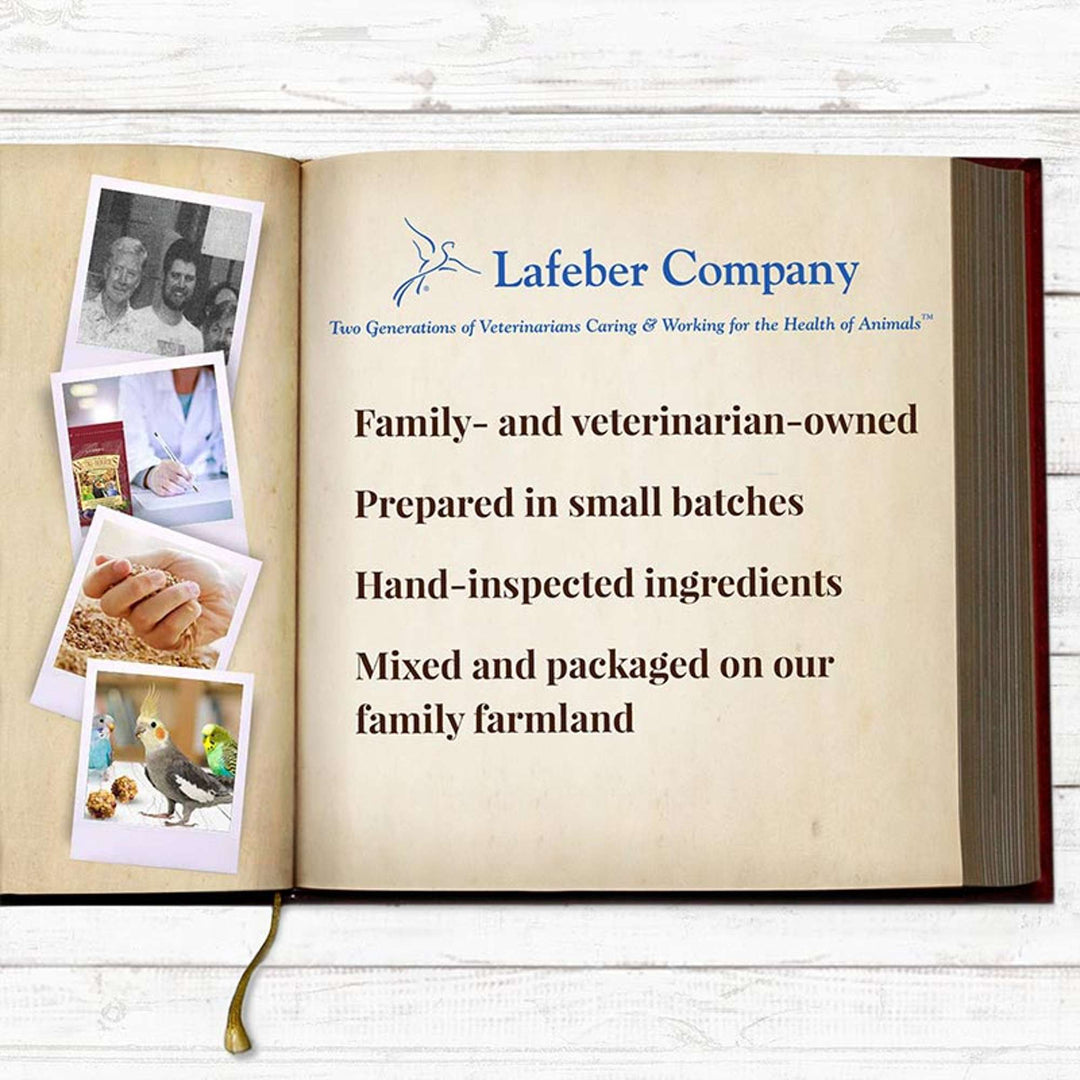 81340-parrot-food-lafeber-senior-bird-nutri-berries-parakeet-cockatiel-food-lafeber-company