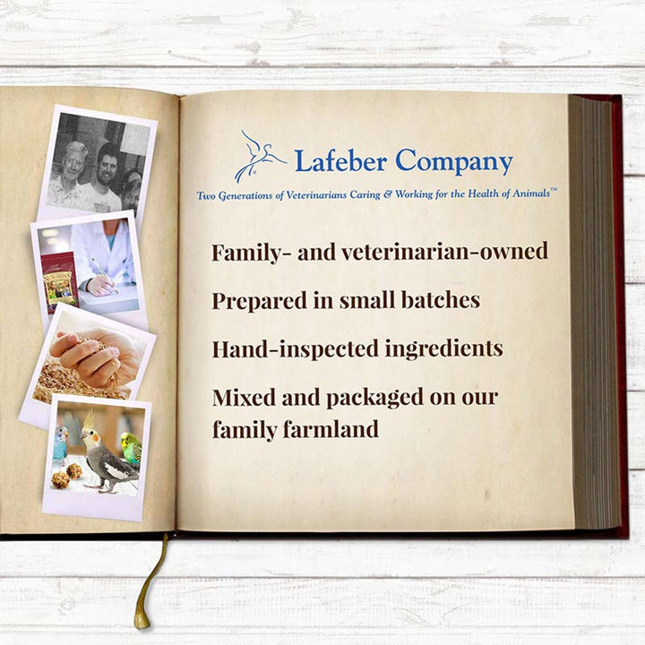 81340-parrot-food-lafeber-senior-bird-nutri-berries-parakeet-cockatiel-food-lafeber-company