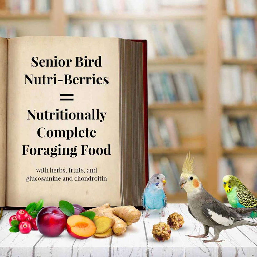 81340-parrot-food-lafeber-senior-bird-nutri-berries-parakeet-cockatiel-food-nutritionally-complete-foraging-food