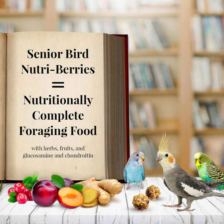 81340-parrot-food-lafeber-senior-bird-nutri-berries-parakeet-cockatiel-food-nutritionally-complete-foraging-food