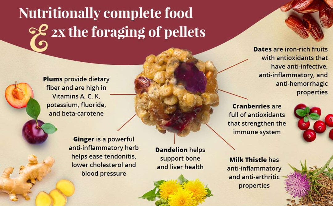81342-parrot-food-lafeber-senior-bird-nutri-berries-parakeet-cockatiel-food-nutritionally-complete-foraging-food-2x-the-foraging-of-pellets