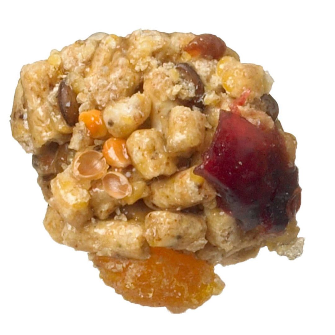 81352-parrot-food-lafeber-senior-bird-nutri-berries-parrot-food-grain