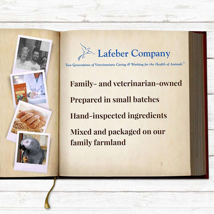 81352-parrot-food-lafeber-senior-bird-nutri-berries-parrot-food-lafeber-company