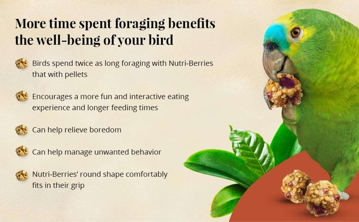 81352-parrot-food-lafeber-senior-bird-nutri-berries-parrot-food-more-time-spent-foraging-benefits-the-well-being-of-your-bird