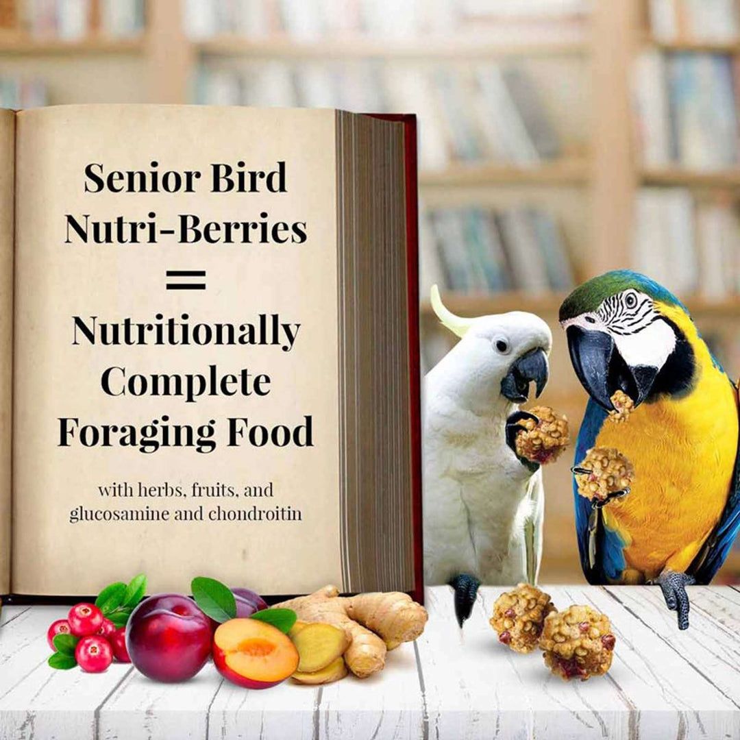 81360-parrot-food-lafeber-senior-bird-nutri-berries-macaw-cockatoo-food-nutritionally-complete-foraging-food