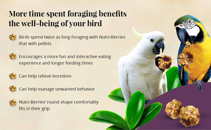 81360-parrot-food-lafeber-senior-bird-nutri-berries-macaw-cockatoo-food-more-time-spent-foraging-benefits-the-well-being-of-your-bird
