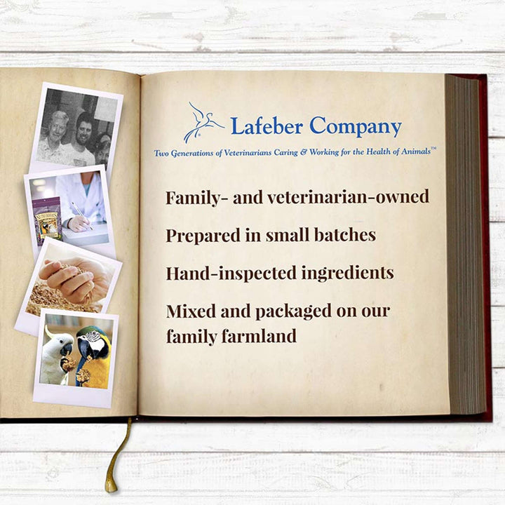 81362-parrot-food-lafeber-senior-bird-nutri-berries-macaw-cockatoo-food-lafeber-company