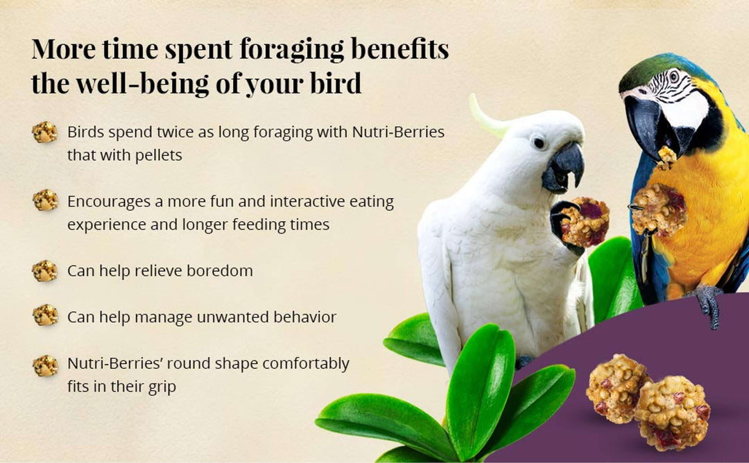 81362-parrot-food-lafeber-senior-bird-nutri-berries-macaw-cockatoo-food-more-time-spent-foraging-benefits-the-well-being-of-your-bird