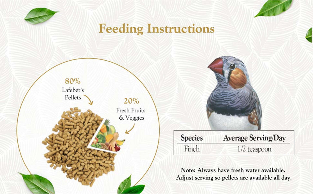 81510-premium-daily-pellets-finch-feeding-instructions