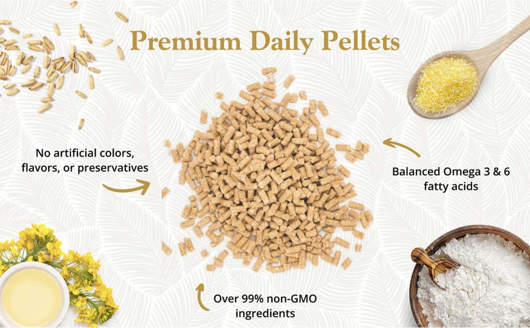 81512-5lb-premium-daily-pellets-finch-no-artificial-colors-flavors-or-preservatives-over-99%-non-GMO-ingredients-balanced-omega-3-&-6-fatty-acids
