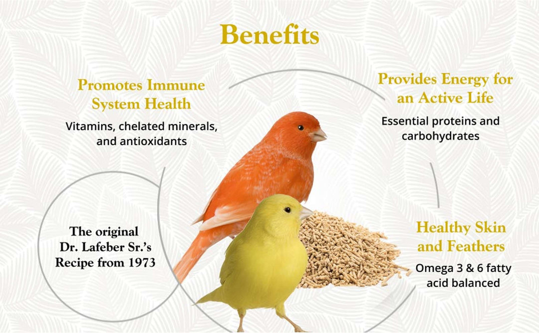 81520-premium-daily-pellets-canary-promotes-immune-system-health-provides-energy-for-an-active-life-healthy-skin-and-feathers