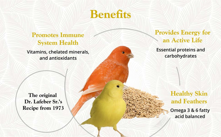81520-premium-daily-pellets-canary-promotes-immune-system-health-provides-energy-for-an-active-life-healthy-skin-and-feathers