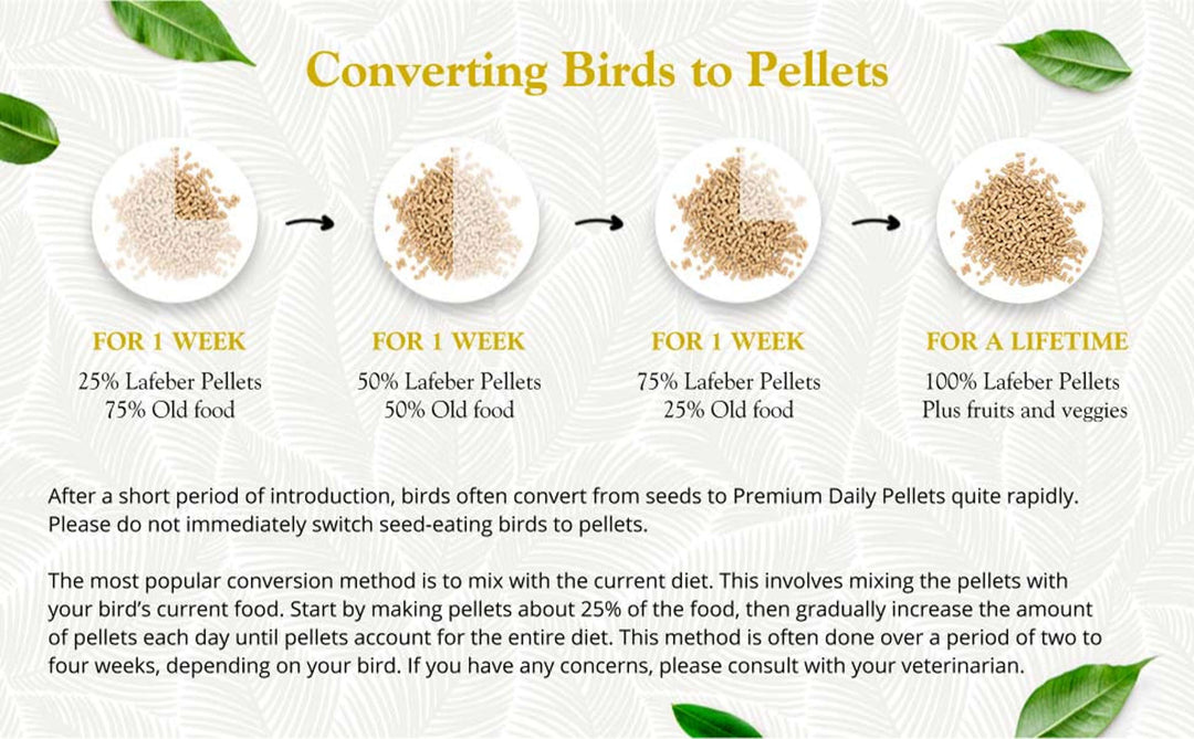 81520-premium-daily-pellets-canary-converting-birds-to-pellets