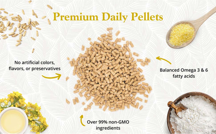 81520-premium-daily-pellets-canary-no-artificial-colors-flavors-or-preservatives-over-99%-non-GMO-ingredients-Balanced-Omega-3-and-6-fatty-acids