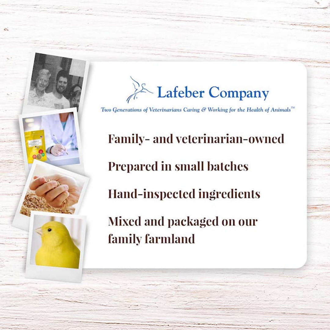 81522-5lb-premium-daily-pellets-canary-lafeber-company