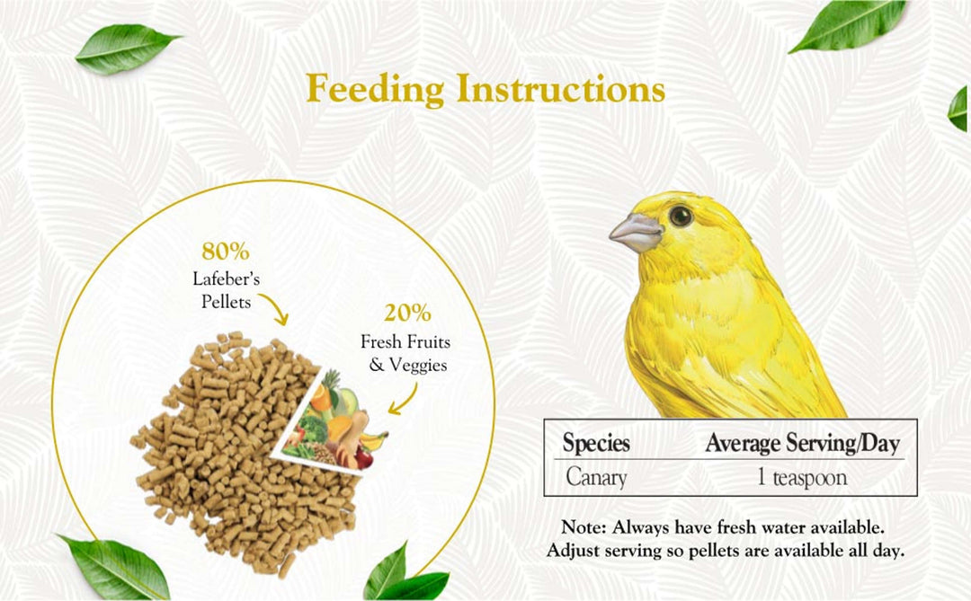 81522-5lb-premium-daily-pellets-canary-feeding-instructions