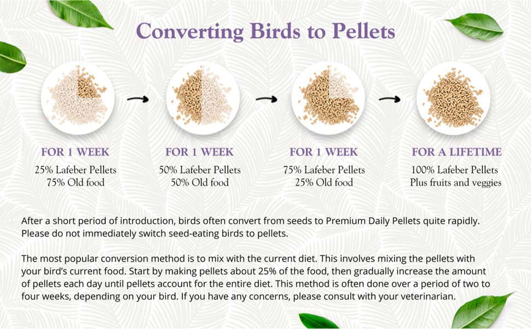81530-premium-daily-pellets-parakeet-converting-birds-to-pellets