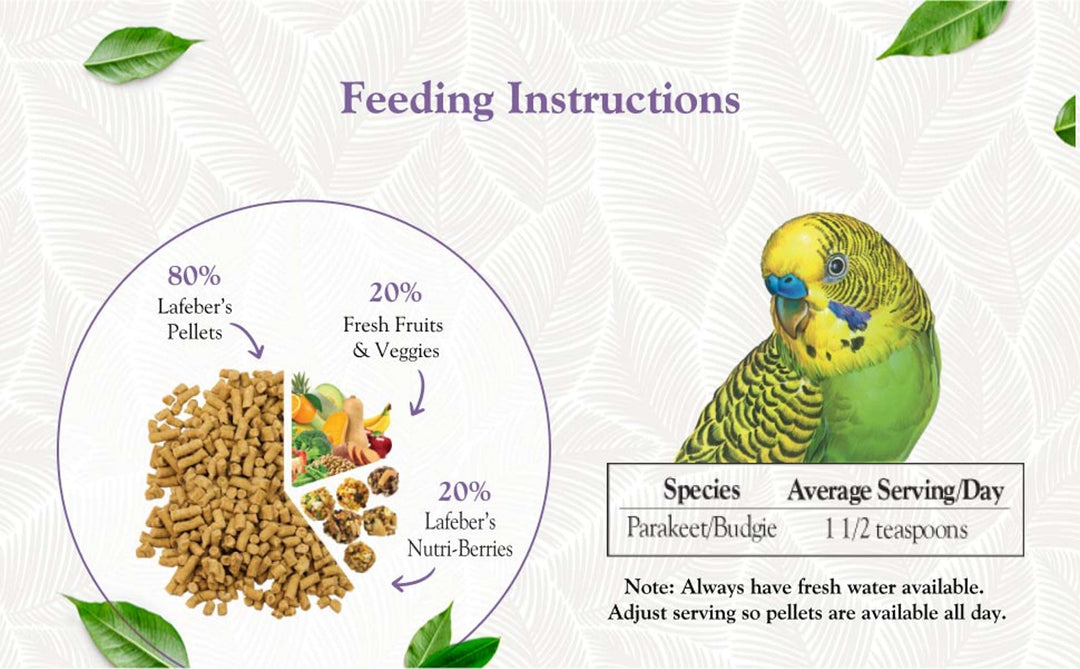 81530-premium-daily-pellets-parakeet-feeding-instructions