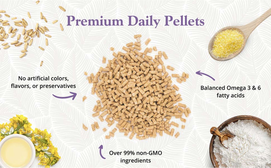 81530-premium-daily-pellets-parakeet-no-artificial-colors-flavors-or-preservatives