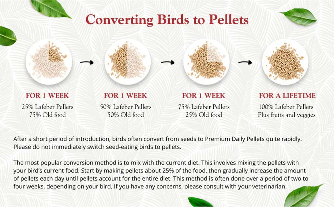 81540-premium-daily-pellets-cockatiel-converting-birds-to-pellets
