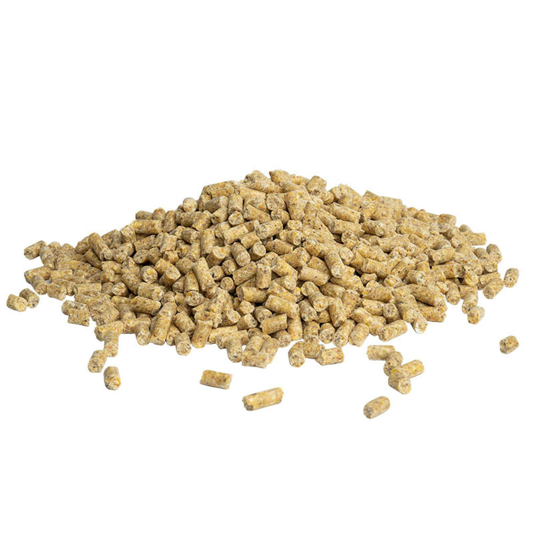 81542-5lb-premium-daily-pellets-cockatiel-pellet