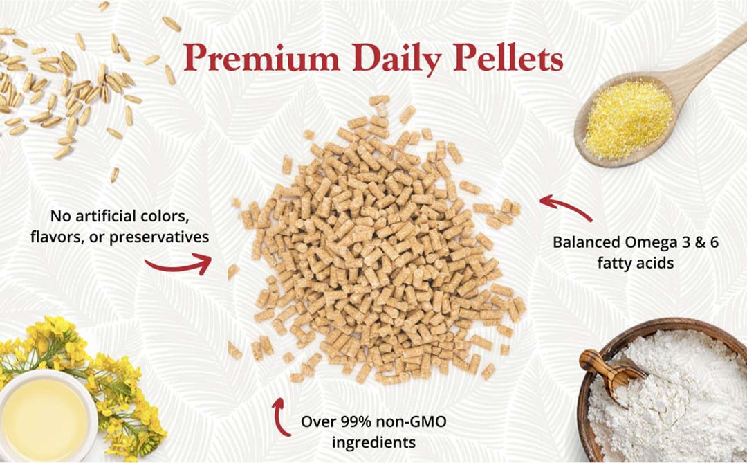 81542-5lb-premium-daily-pellets-cockatiel-no-artificial-colors-flavors-or-preservatives-over-99%-non-GMO-ingredients-balanced-omega-3-&-6-fatty-acids