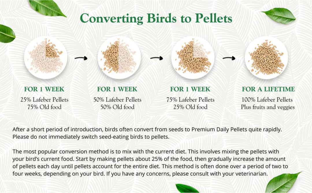 81550-lafeber-premium-daily-pellets-parrot-converting-birds-to-pellets