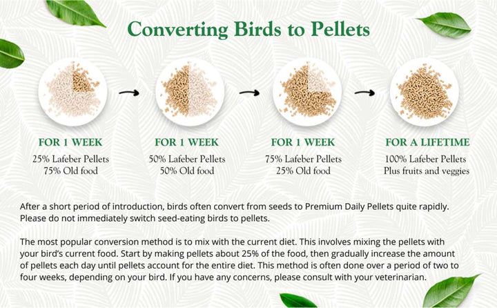 81550-lafeber-premium-daily-pellets-parrot-converting-birds-to-pellets