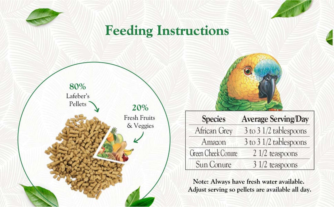 81552-5lb-lafeber-premium-daily-pellets-parrot-feeding-instructions