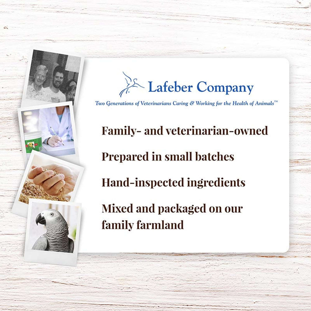 81554-premium-daily-diet-pellets-parrot-25-lb-lafeber-company