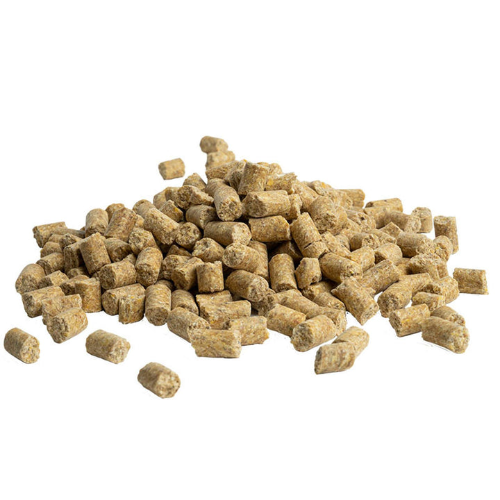 81562-5lb-premium-daily-pellets-macaw-cockatoo-pelelts