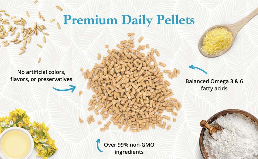 81564-premium-daily-diet-pellets-macaw-25lb-no-artificial-colors-flavors-or-preservatives-over-99%-non-GMO-ingredients-balanced-omega-3-&-6-fatty-acids