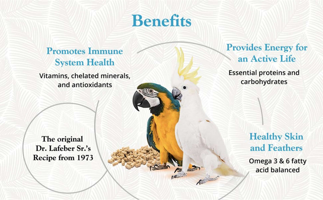 81564-premium-daily-diet-pellets-macaw-25lb-promotes-immune-system-health-provides-energy-for-an-active-life-healthy-skin-and-feathers