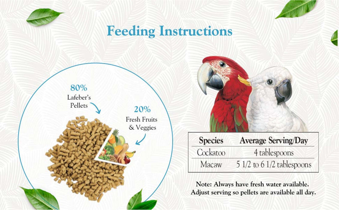 81564-premium-daily-diet-pellets-macaw-25lb-feeding-instructions