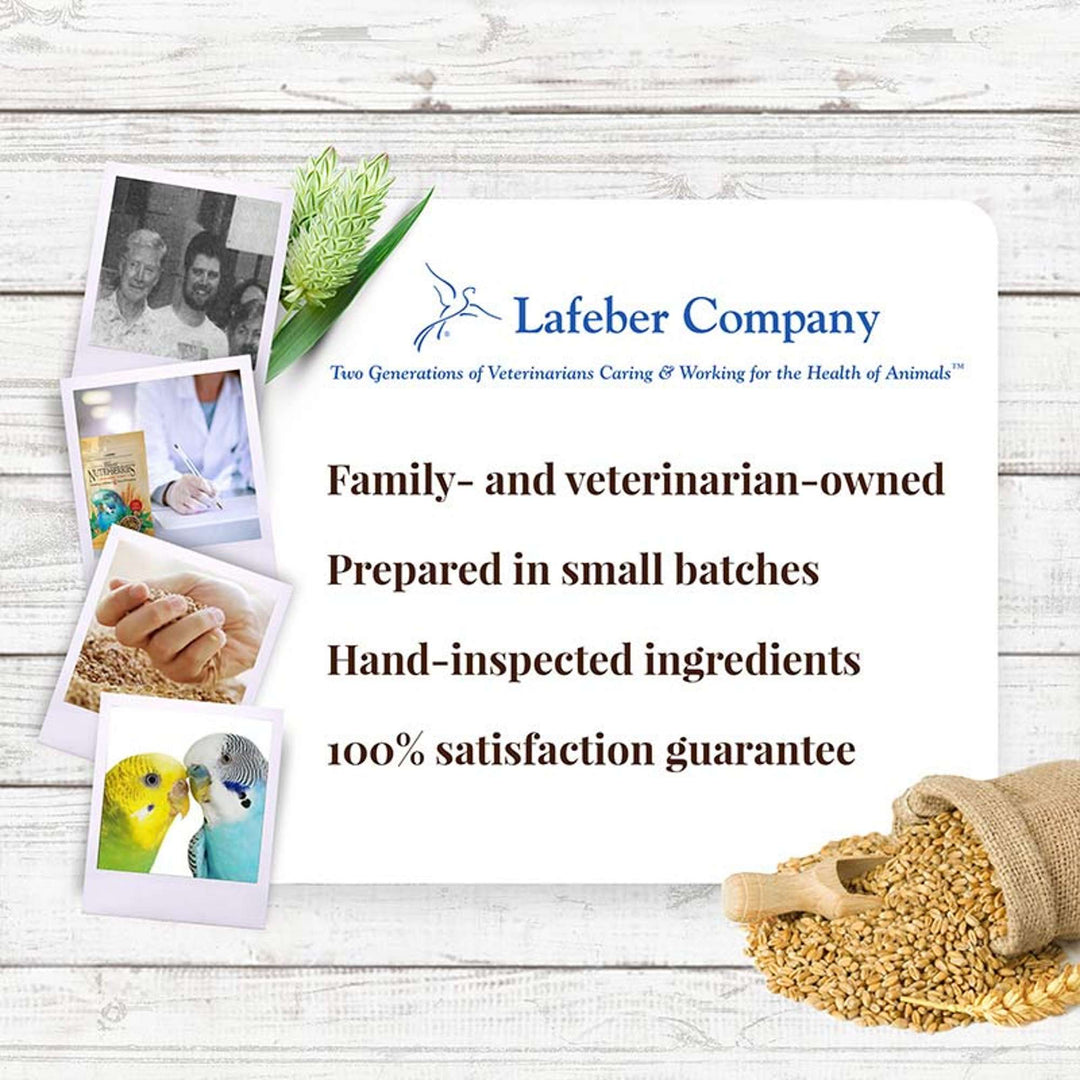 81632-nutri-berries-parakeet-4lb-lafeber-company