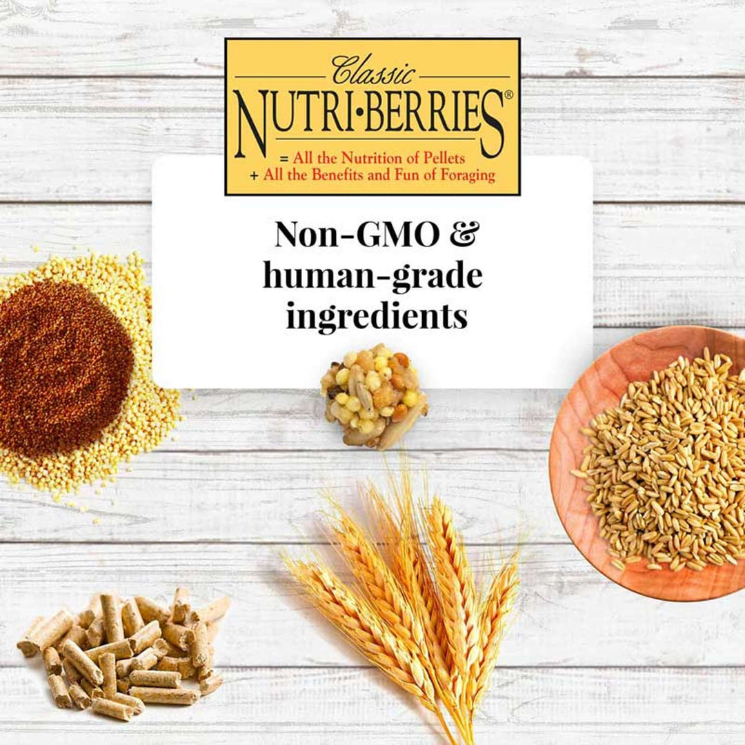 81632-nutri-berries-parakeet-4lb-non-gmo-human-grade-ingredients