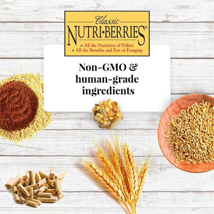 81632-nutri-berries-parakeet-4lb-non-gmo-human-grade-ingredients