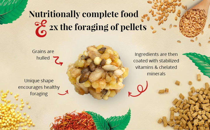 81632-nutri-berries-parakeet-4lb-nutritionally-complete-food-2x-the-foraging-of-pellets