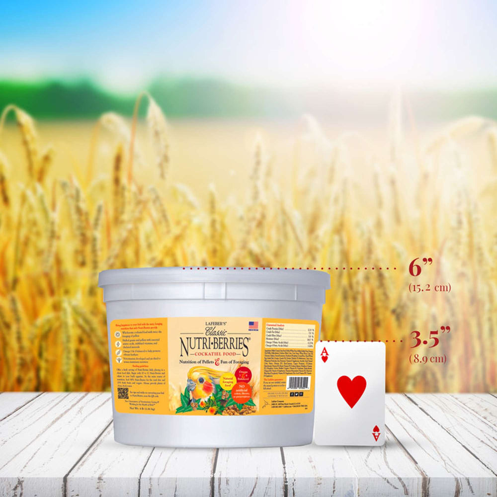 81642-nutri-berries-cockatiel-4lb-size